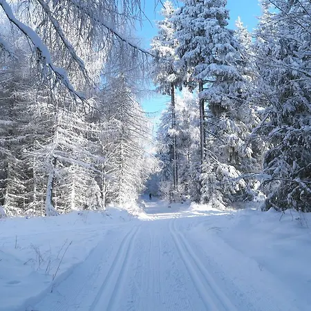 Blaumeise