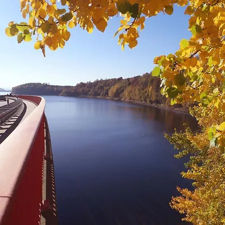 Blaumeise * Clausnitz