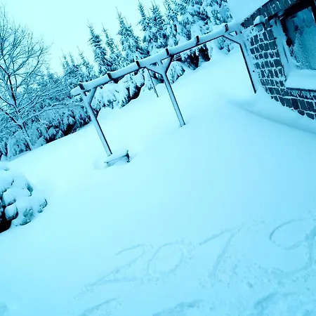 Blaumeise * Clausnitz