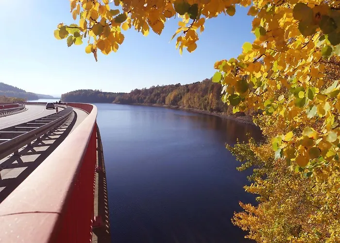 Blaumeise * Clausnitz