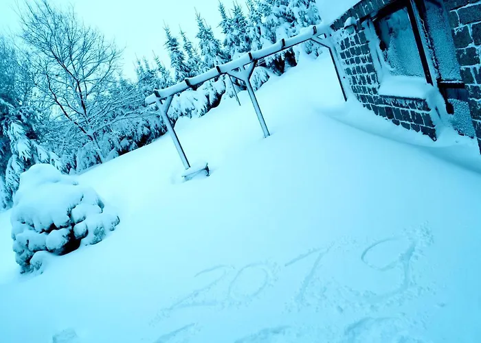 Blaumeise * Clausnitz